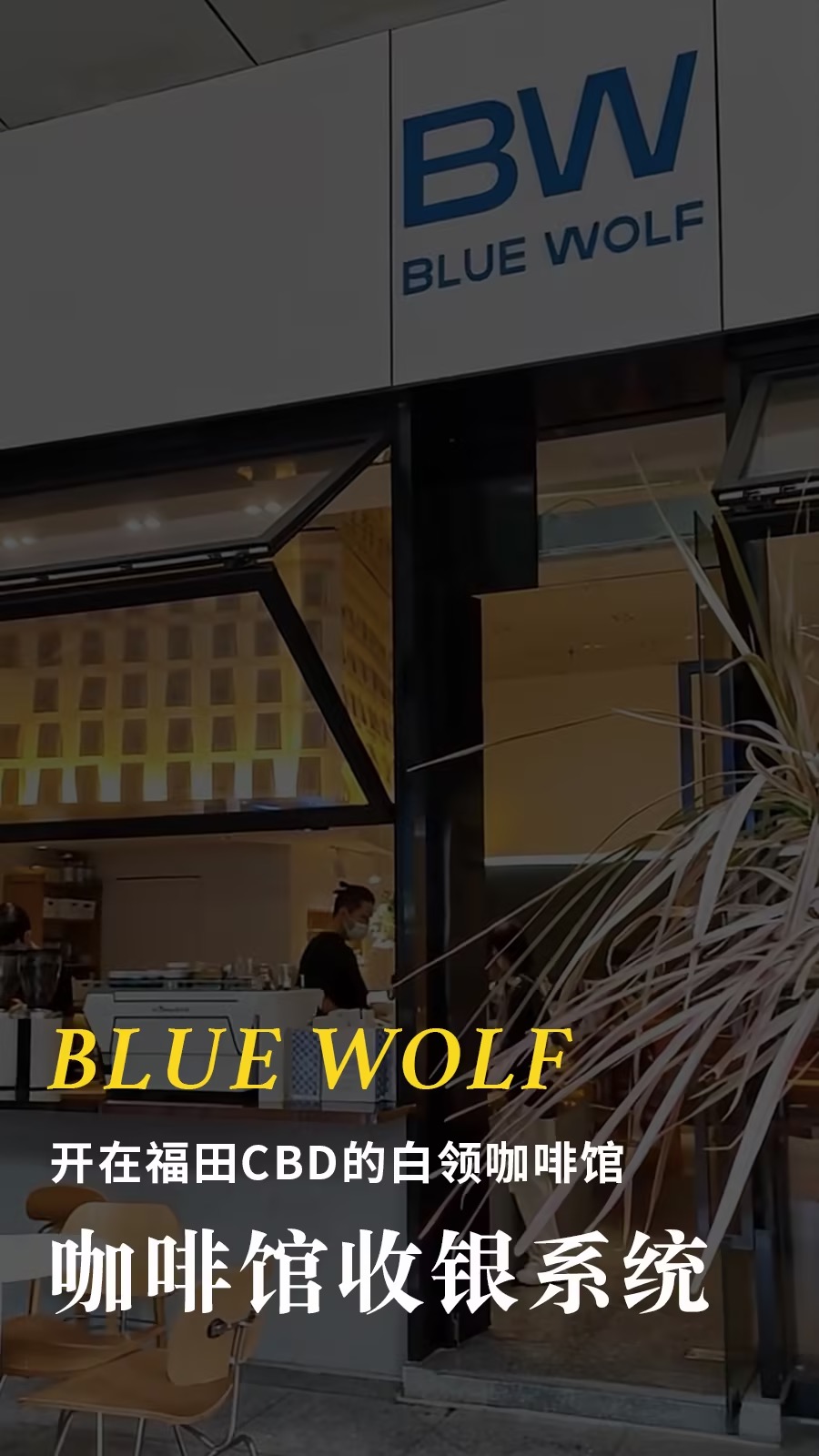 Bluewolf-咖啡馆收银系统